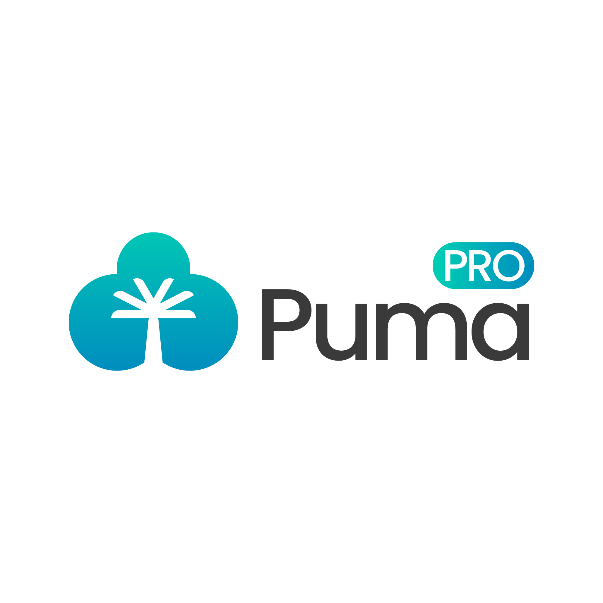 Puma Pro